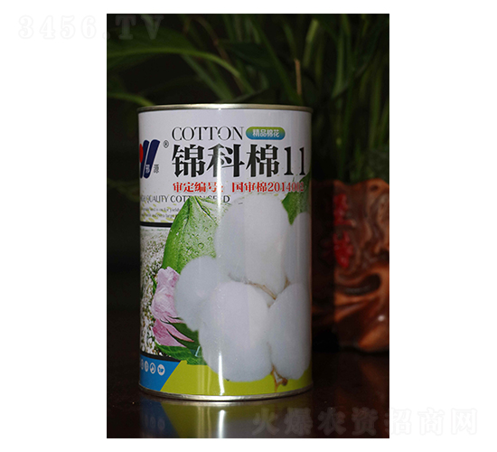 �\����11-�޻��N��-��Դ�r(n��ng)�I(y��)