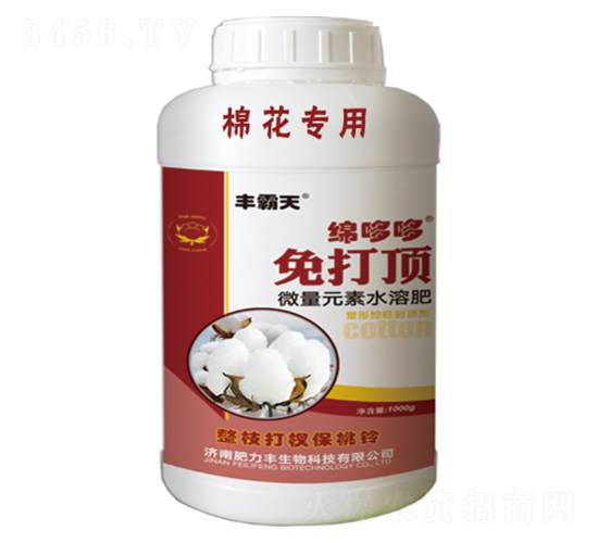 �d�߶ߣ����픣�-�S����-������