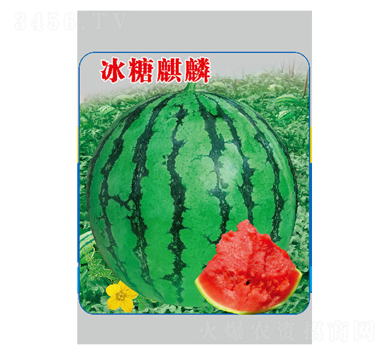 ��������-���ϷN��-��Դ�r(n��ng)�I(y��)