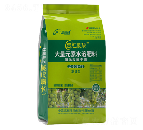 ꖹ�õ�匣�ø�⛷�12-6-38+TE-���R�n��-���ظ߿�