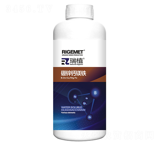 ���\�}�V�F-��ֲ-���w�~��