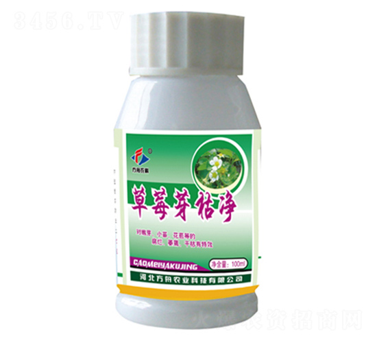 ��ݮѿ�݃�-�����r(n��ng)�I(y��)