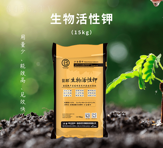 ������������-��������