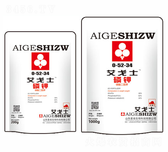 ����ʿ����-��������