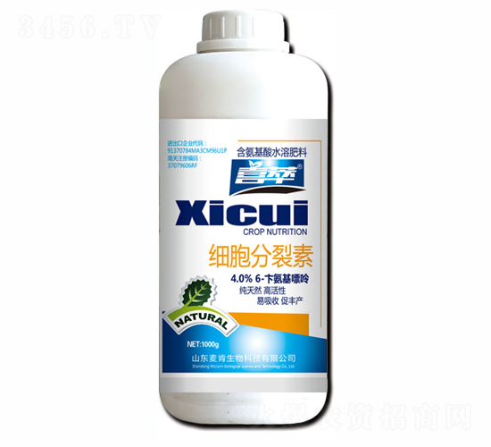 ��(x��)��������-��������