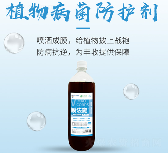 ֲ�ﲡ�����o��-Ĥ��ʩ-���S����