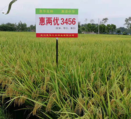 �݃Ƀ�(y��u)3456-ˮ���N��-���A���r(n��ng)