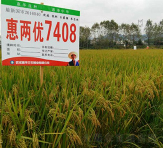 �݃Ƀ�(y��u)7408-ˮ���N��-���A���r(n��ng)