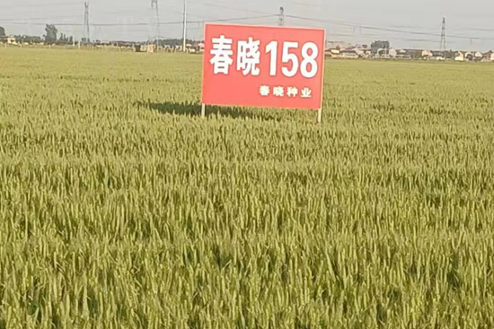 ����158-С���N��-���ԷN�I(y��)