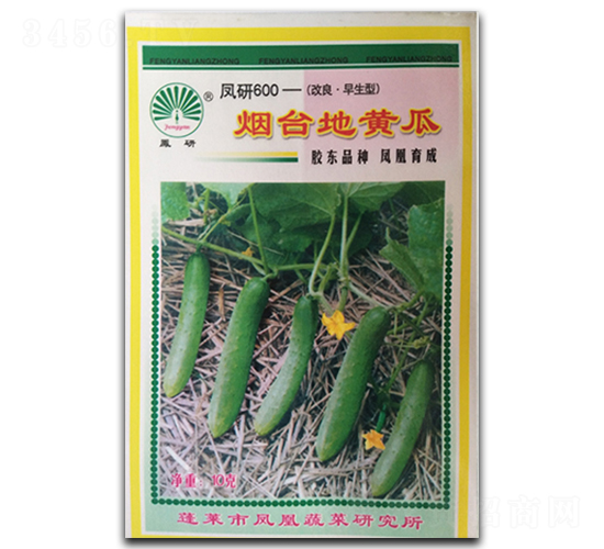 ���_(t��i)���S��-�S�ϷN��-�P�˷N�I(y��)