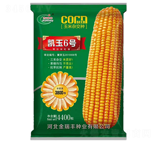 �P��6̖���G��-���׷N��-�����S�N�I(y��)