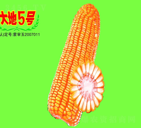 ���5̖(h��o)-���׷N��-��طN�I(y��)