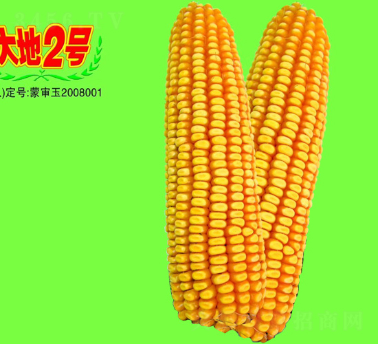 ���2̖(h��o)-���׷N��-��طN�I(y��)