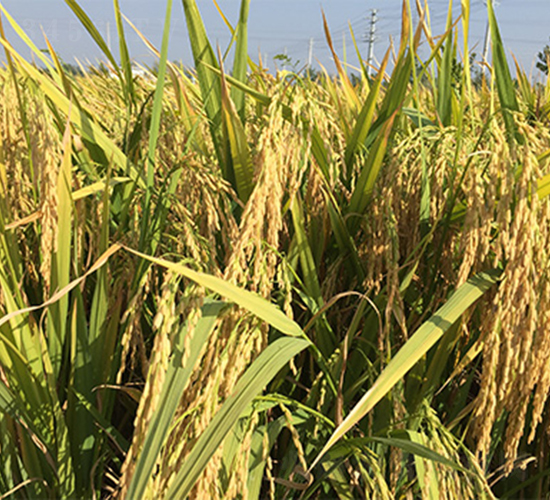 �΃Ƀ�(y��u)212-ˮ���N��-���P�N�I(y��)