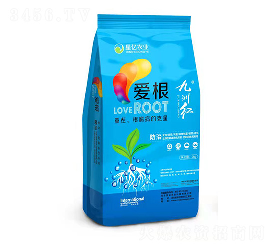 愛根-九州紅-星億農(nóng)業(yè)