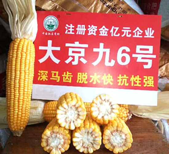 �󾩾�6̖(h��o)-���׷N��-�󾩾ŷN�I(y��)