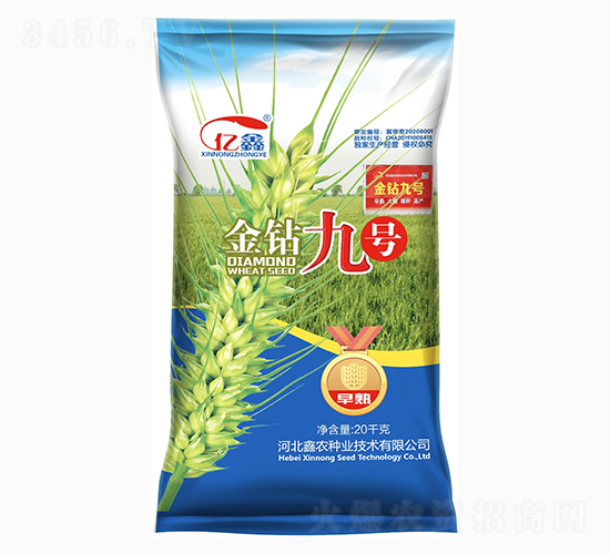 金鉆九號（小麥種子）-鑫農(nóng)種業(yè)