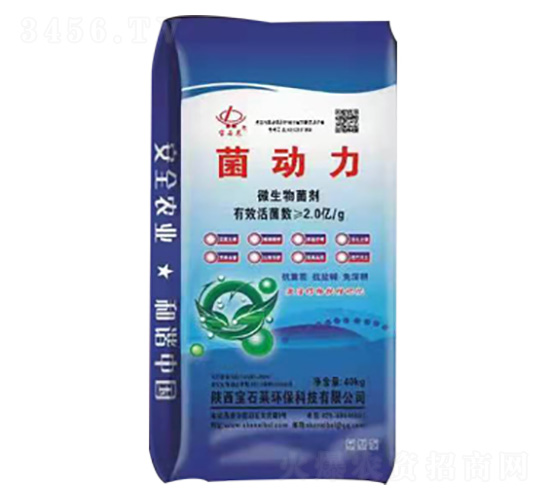 ������΢�������-��ʯ�R