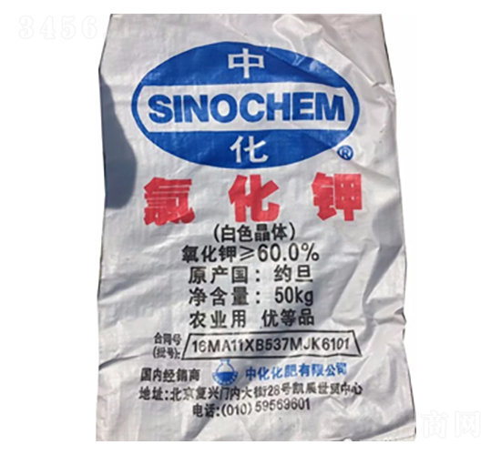 �s����⛣���ɫ���w��-¡���r�Y