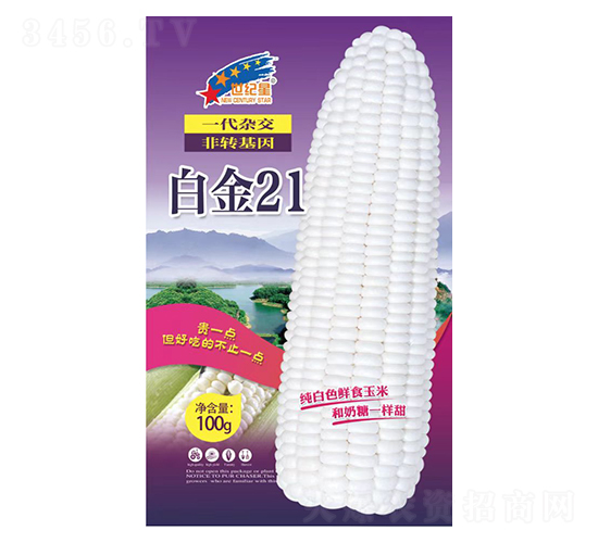 �׽�21-���׷N��-�Aһ�N�I(y��)