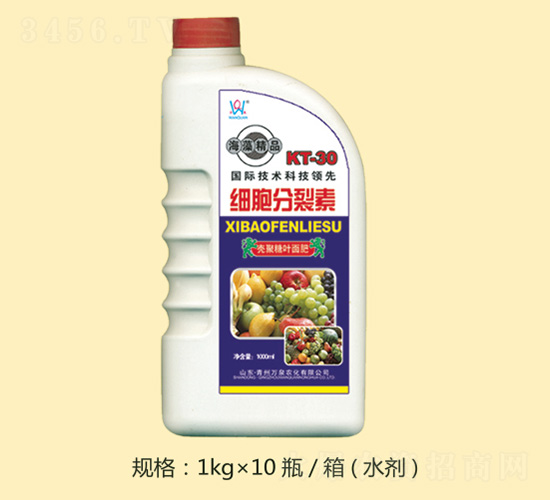 ���徫Ʒ����������-�fȪ�r(n��ng)��