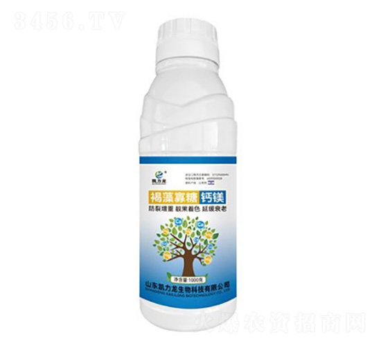 ��������}�V-�P����