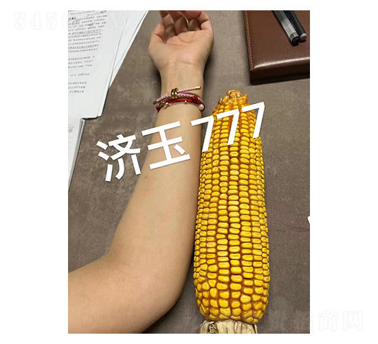 濟玉777穗大-和谷豐