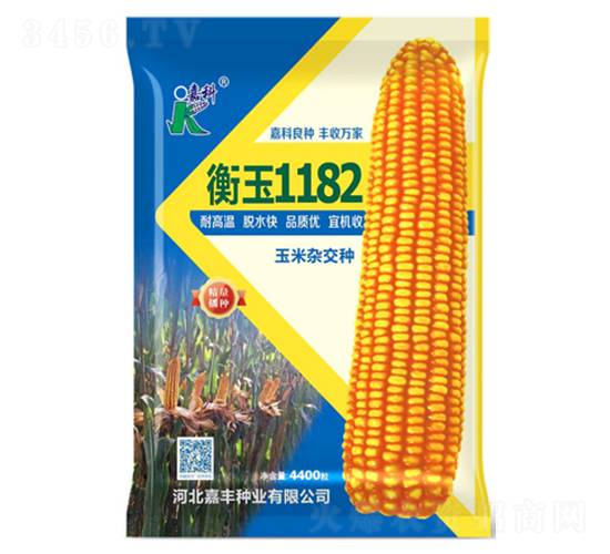 衡玉1182玉米種子-嘉科