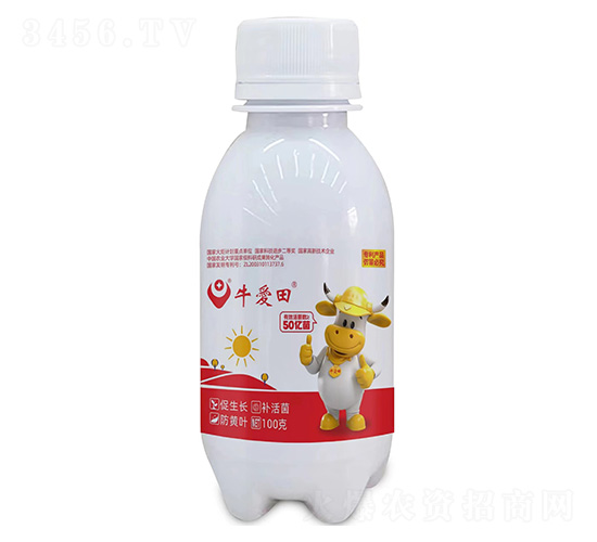 100��ţ��(��i)��-��������