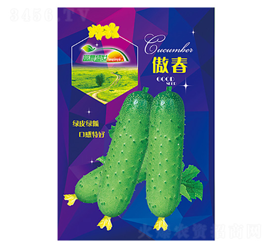 �S�ϷN��-����-����