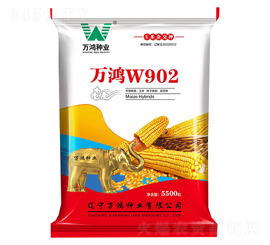 玉米種子-萬鴻W902-萬鴻種業(yè)