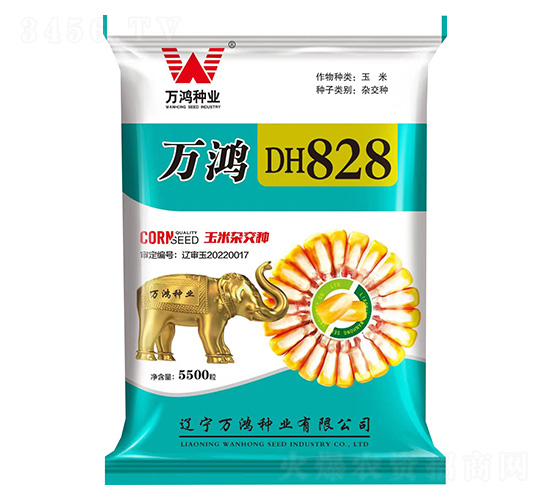 玉米種子-萬鴻DH828-萬鴻種業(yè)