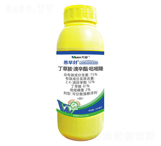 75%���ݰ���������������¡-�[���-�f��