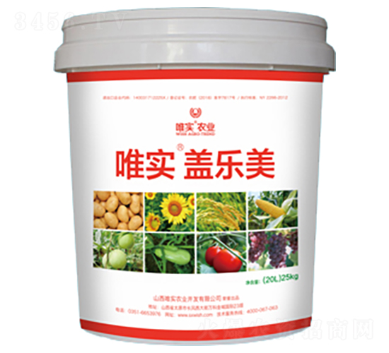 唯實(shí)·蓋樂美