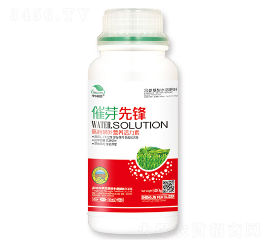 �߶˲��~�I(y��ng)�B(y��ng)������-��ѿ���h-��|ֲ��-ʥ��ʘI(y��)