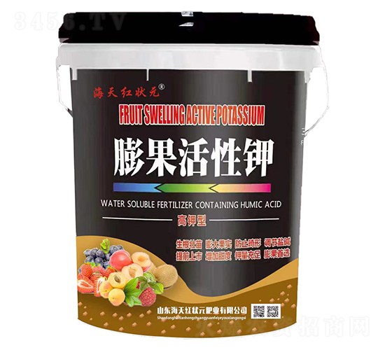 ��������-����t��Ԫ