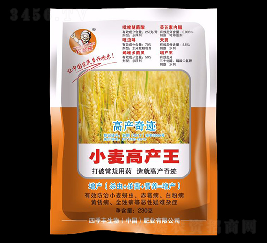 小麥高產(chǎn)王-四季豐