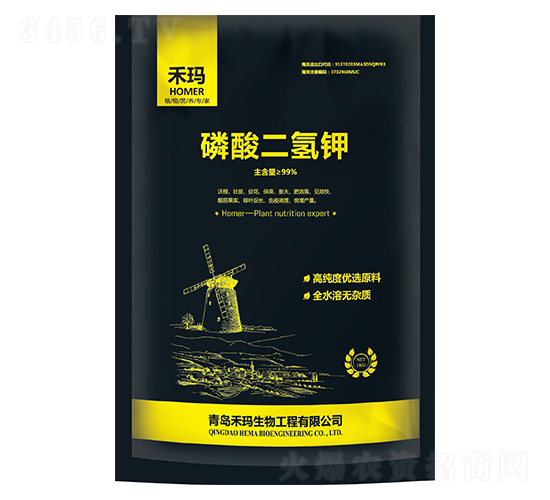 ��������-�̬�����