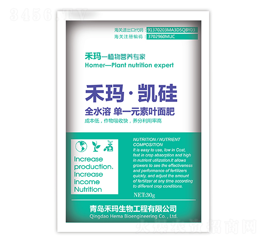 �̬����P��-�̬�����