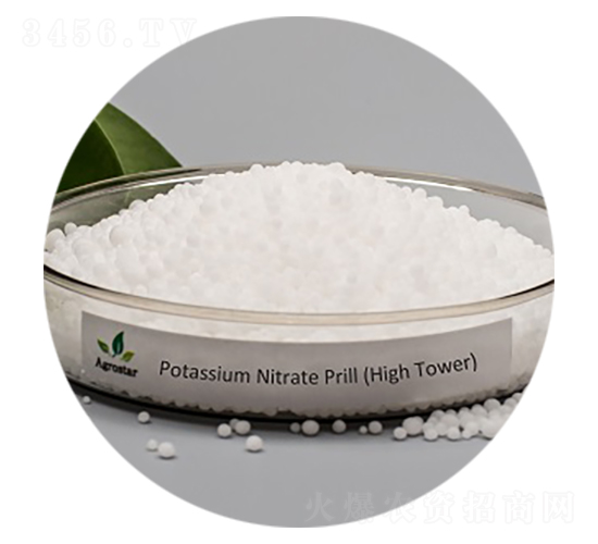 硝酸鉀顆粒-愛格思達