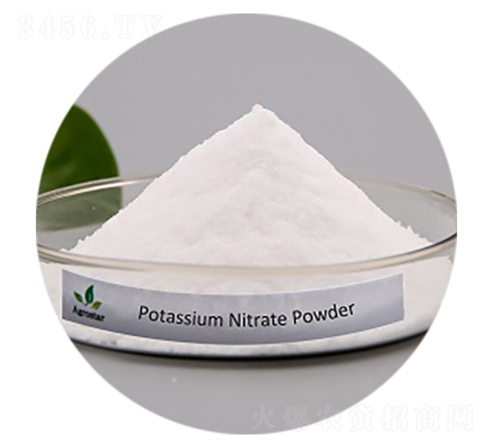 ����⛷�-�۸�˼�_(d��)