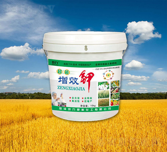 ������Ч�-����