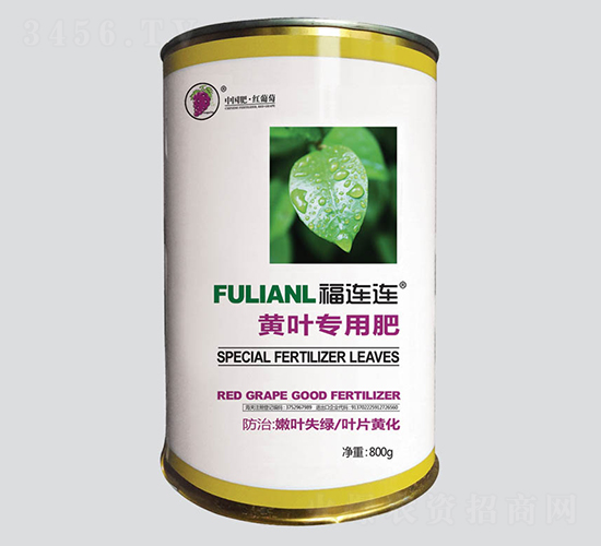 ���B�B�S�~����-�t����