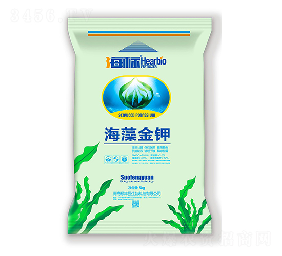 ������-�T�S�@