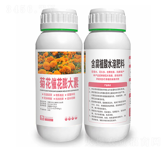 菊花催花膨大素-隆科農業(yè)