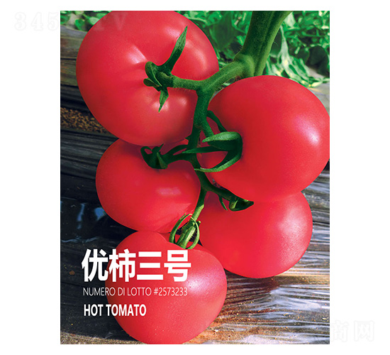 優(yōu)柿三號(hào)-忠農(nóng)坤創(chuàng)