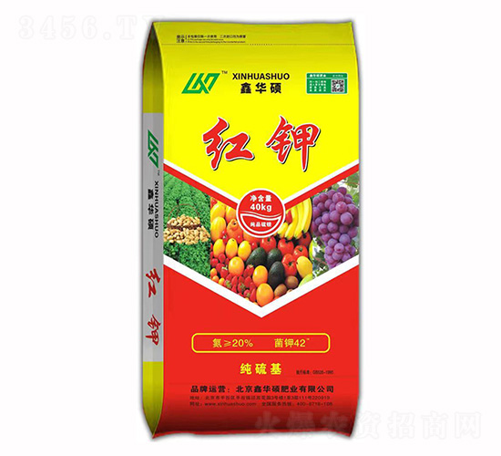 �t�-���A�T