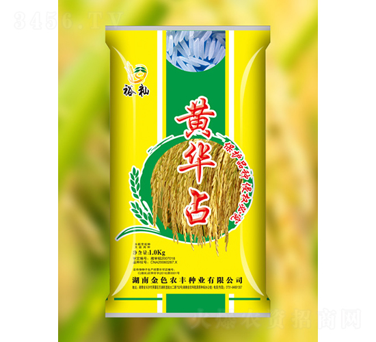 黃華占-水稻種子-金色農豐