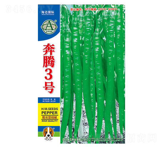 ���v3̖-�����N��-���~���H