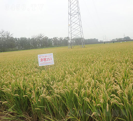 ��253-ˮ���N��-�Ǻ���(r��n)�r(n��ng)